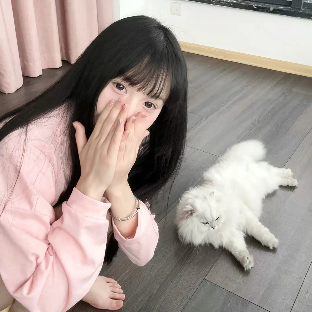 屋顶上的轻骑兵