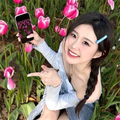 波普先生的企鹅
